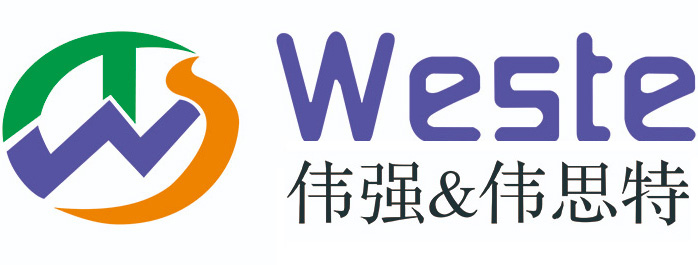 偉思特logo